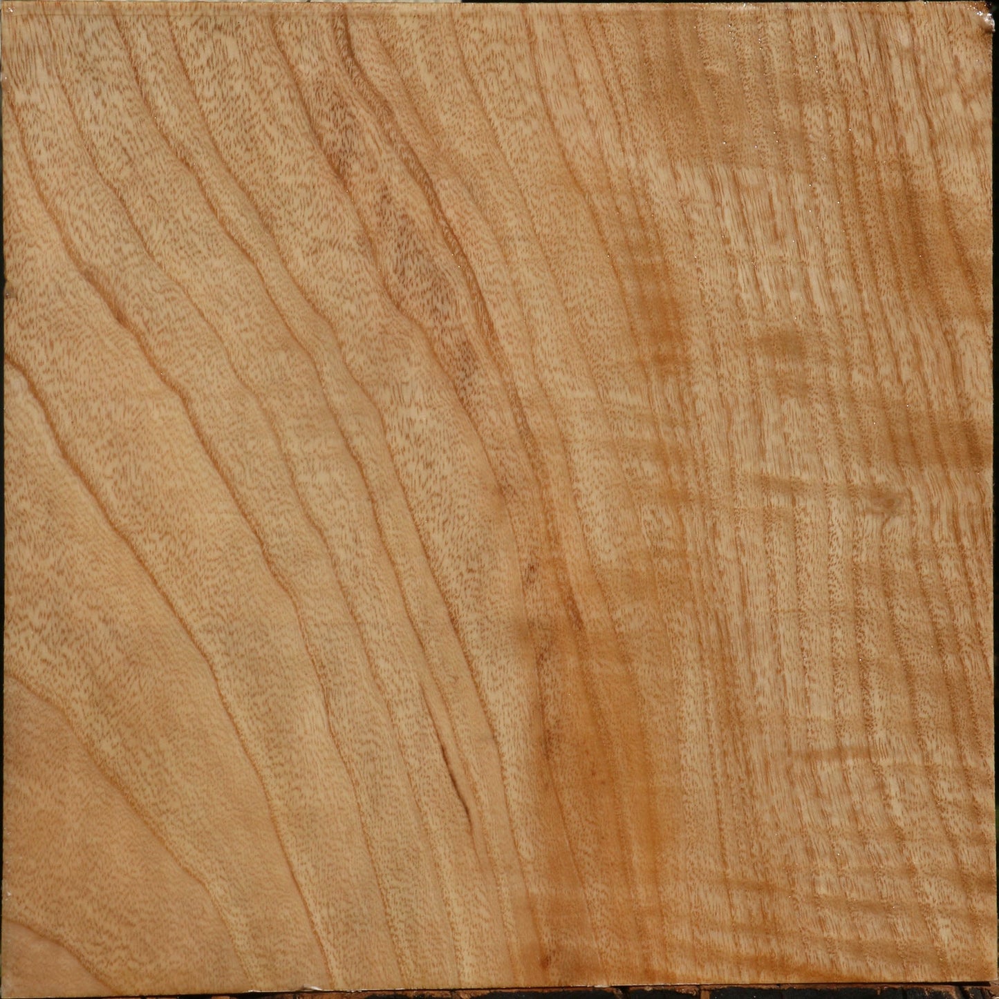 Extra Fancy Modesto Ash Bowl Blank