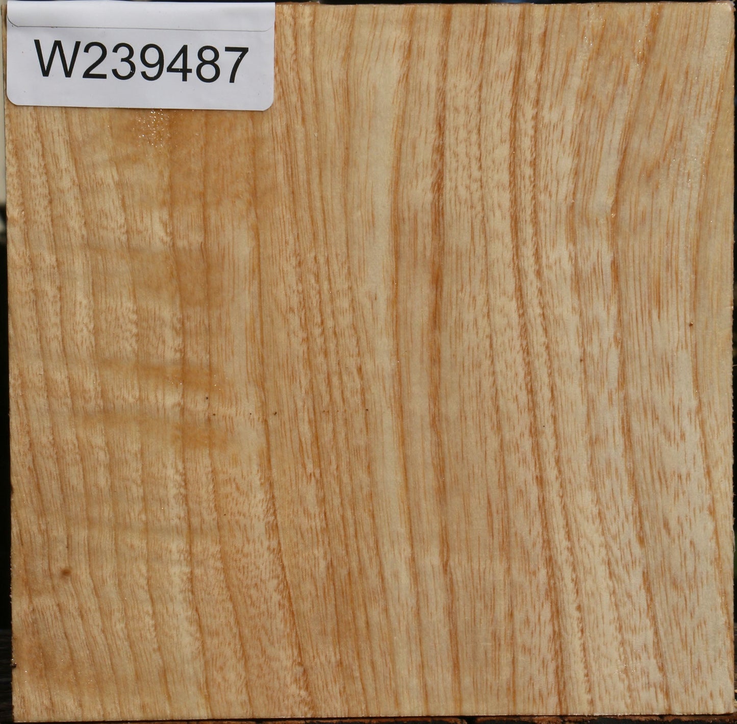 Figured Modesto Ash Bowl Blank