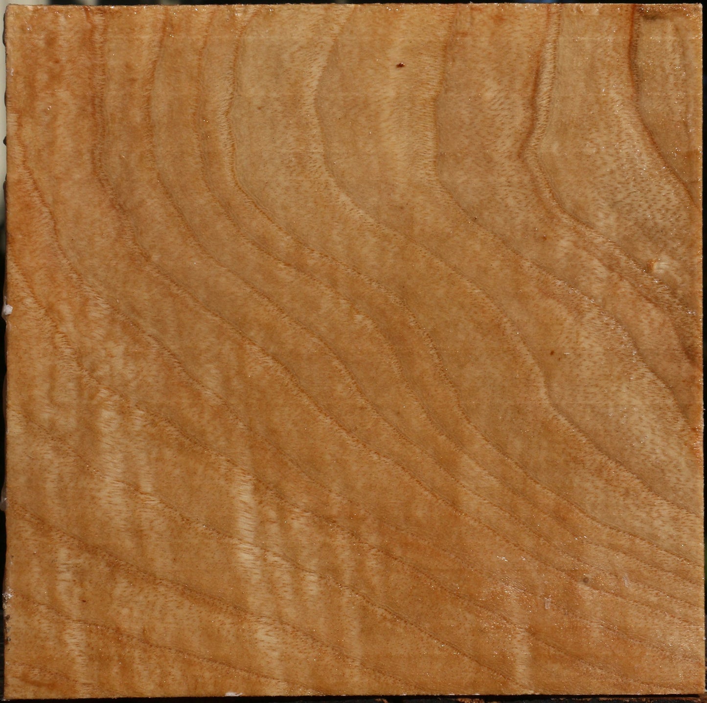 Figured Modesto Ash Bowl Blank