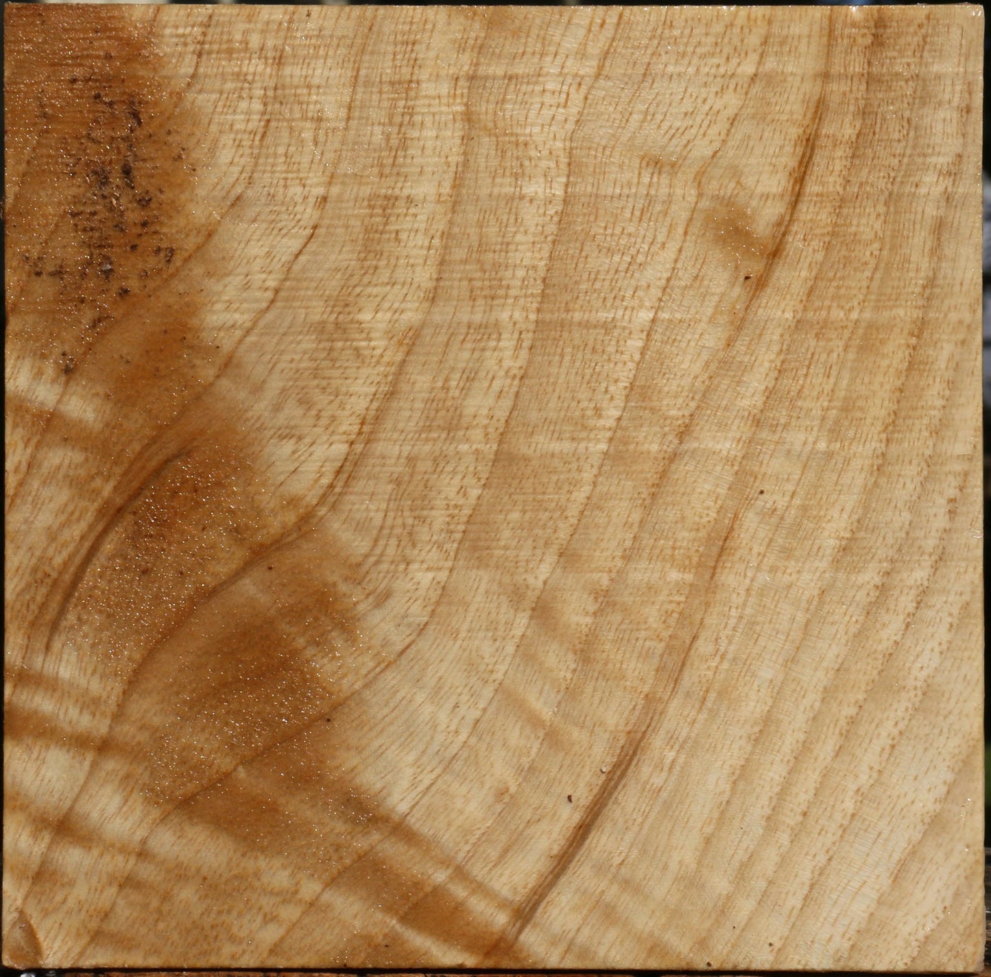 Extra Fancy Modesto Ash Bowl Blank