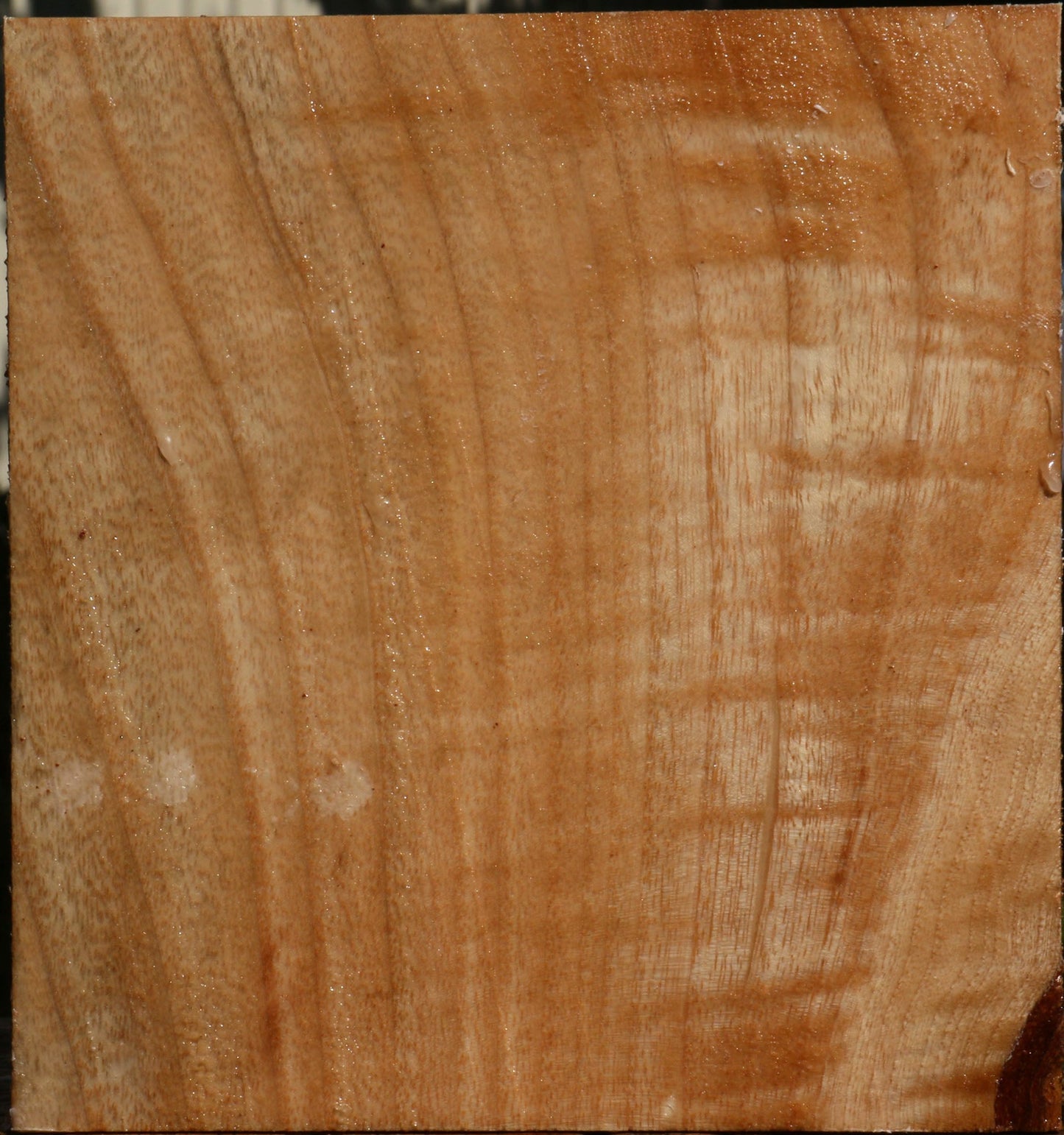 Figured Modesto Ash Bowl Blank