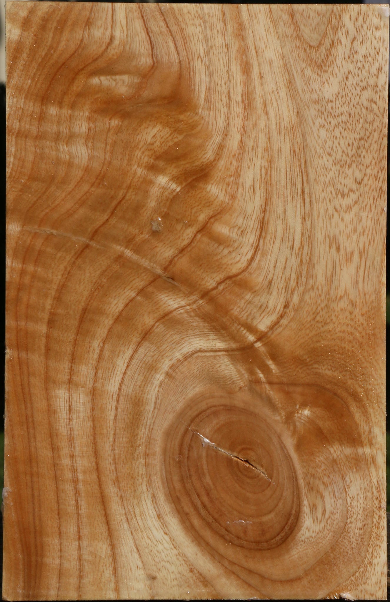 Extra Fancy Modesto Ash Vessel Blank