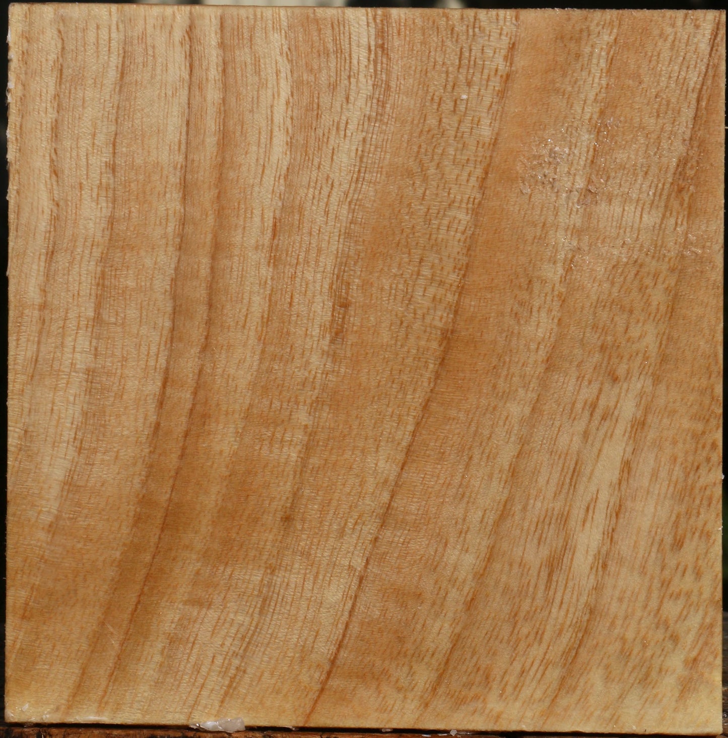 Figured Modesto Ash Bowl Blank