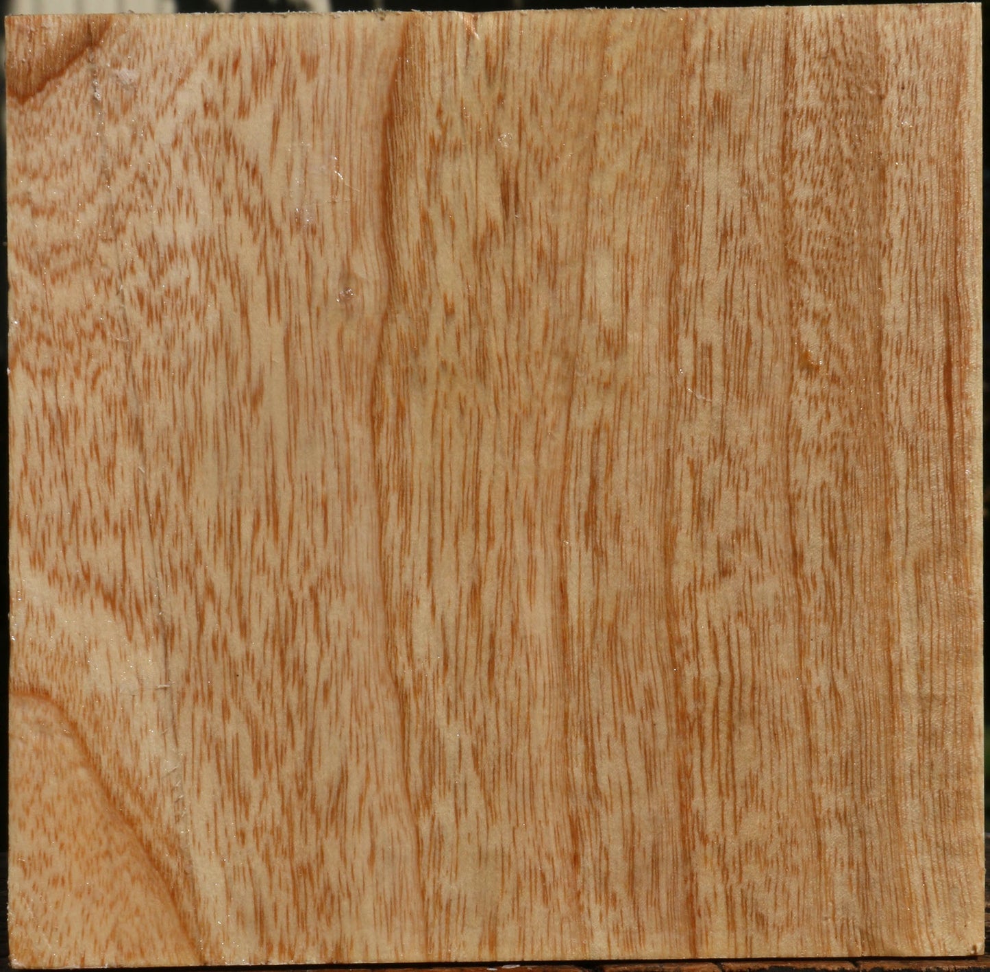 Modesto Ash Bowl Blank