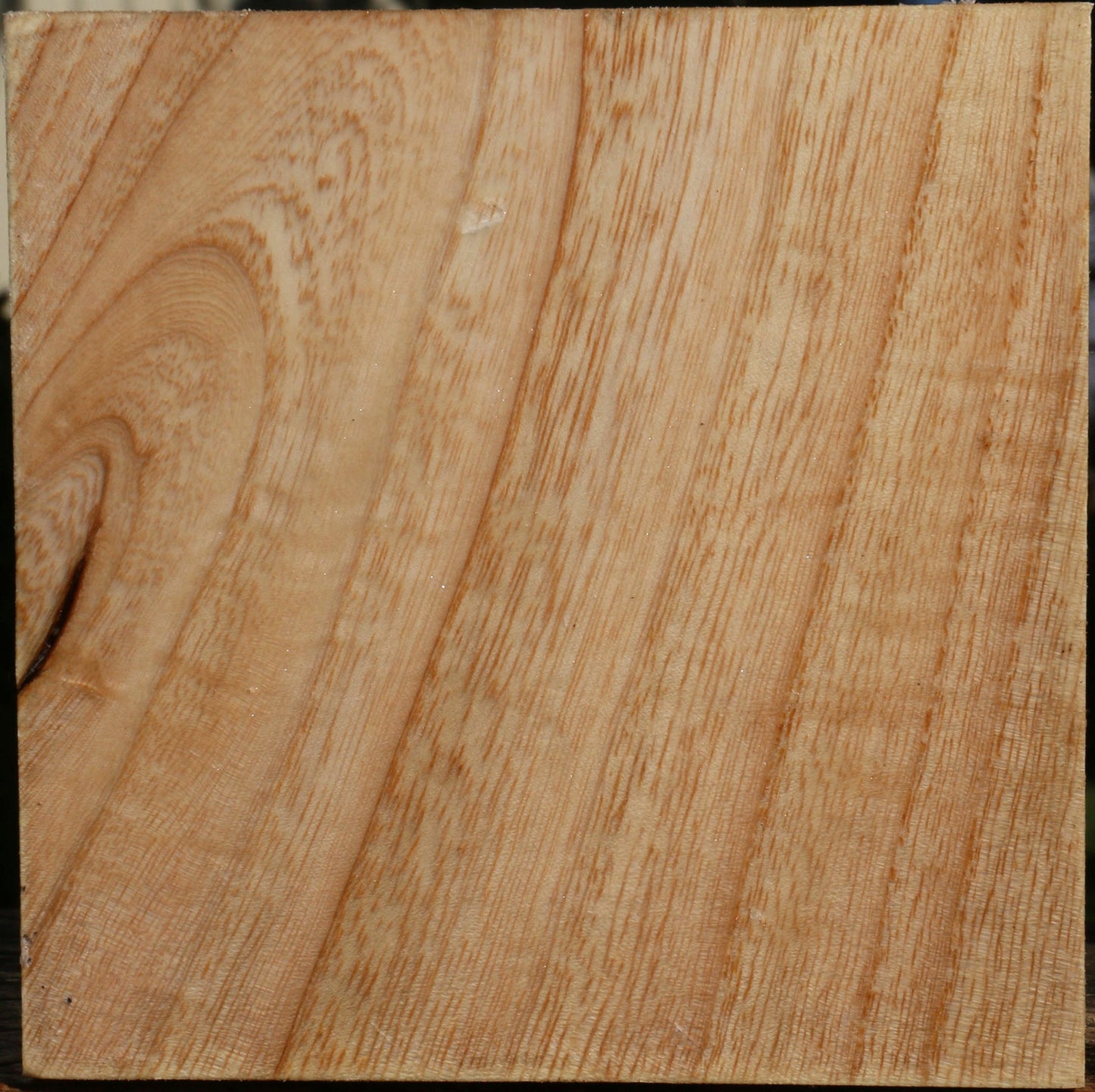 Modesto Ash Bowl Blank