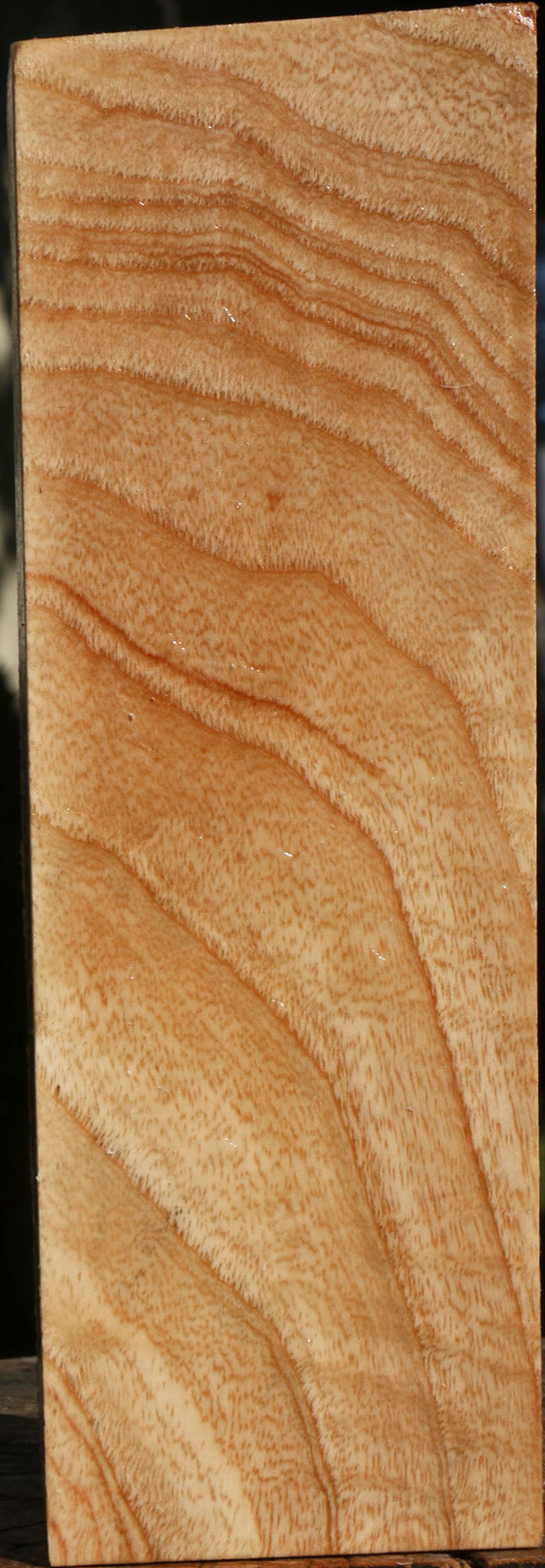 Extra Fancy Modesto Ash Peppermill