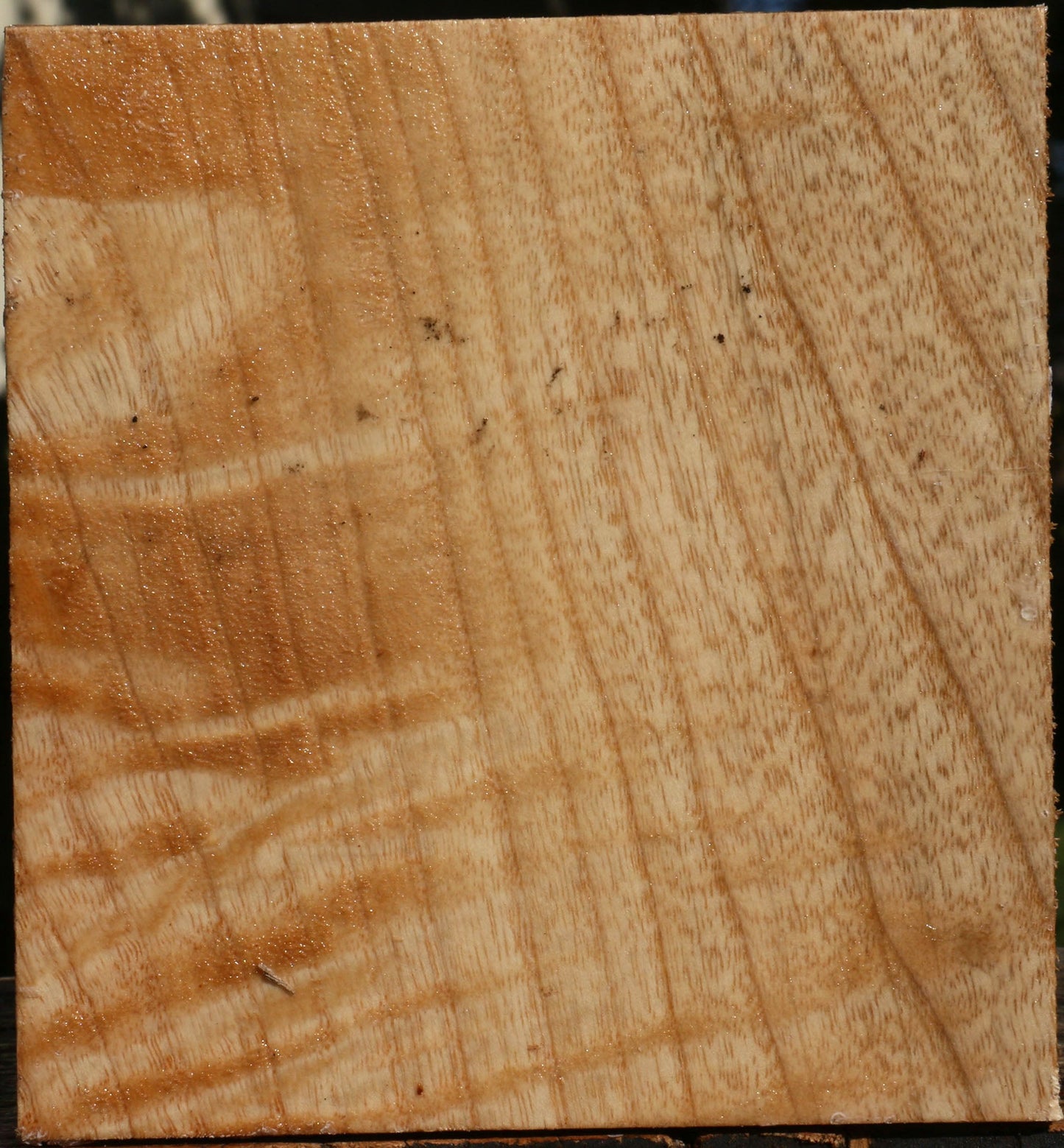 Figured Modesto Ash Bowl Blank