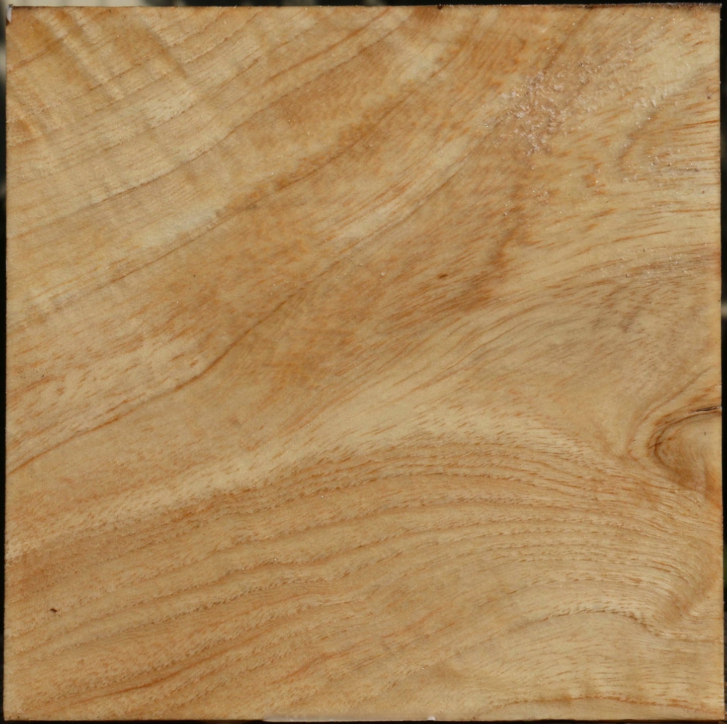 Extra Fancy Modesto Ash Bowl Blank