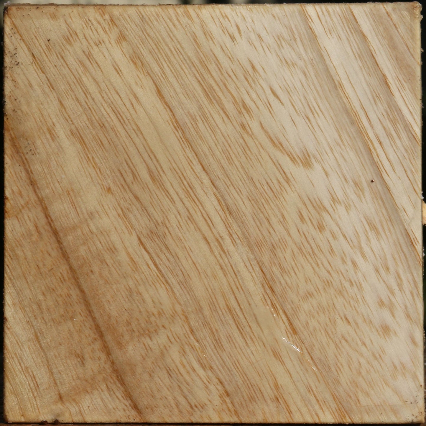 Modesto Ash Bowl Blank