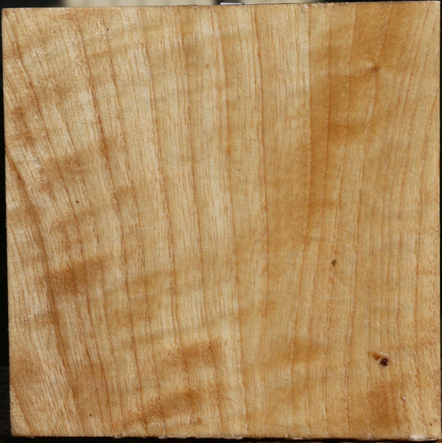 Modesto Ash Bowl Blank