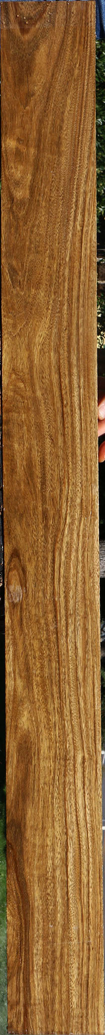 Bolivian Ebony Lumber