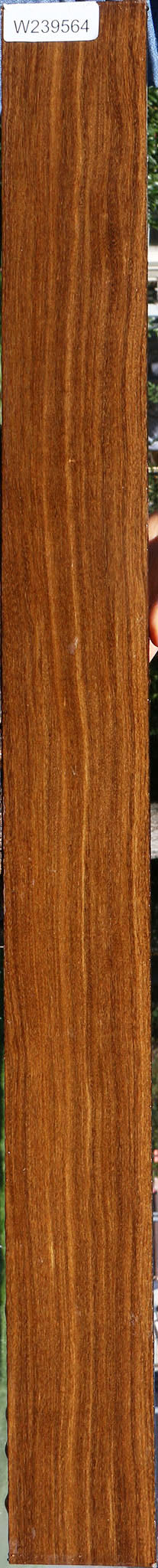 Bolivian Ebony Lumber