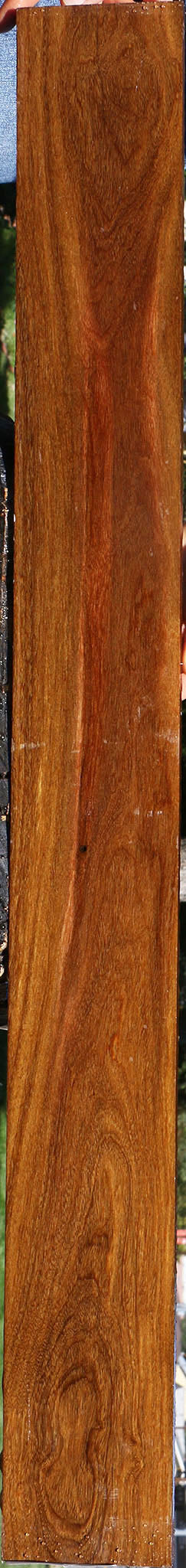 Bolivian Ebony Micro Lumber