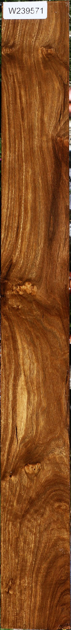 Figured Bolivian Ebony Lumber