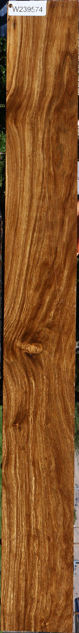 Bolivian Ebony Lumber