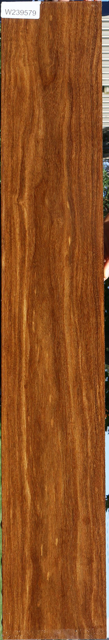 Bolivian Ebony Lumber