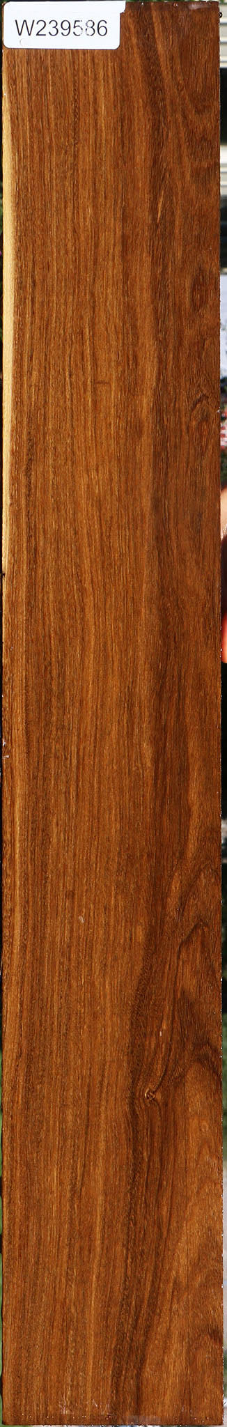 Bolivian Ebony Lumber