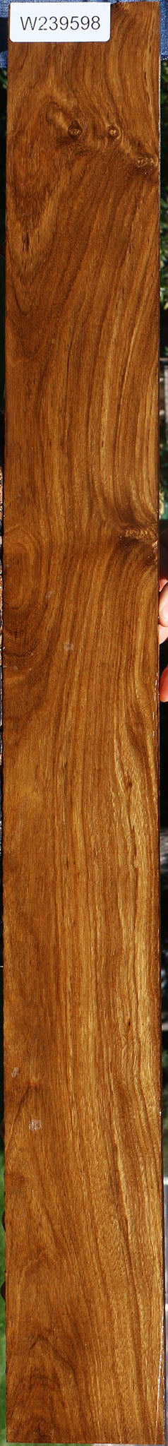 Figured Bolivian Ebony Lumber