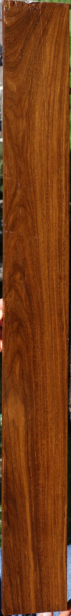 Bolivian Ebony Lumber