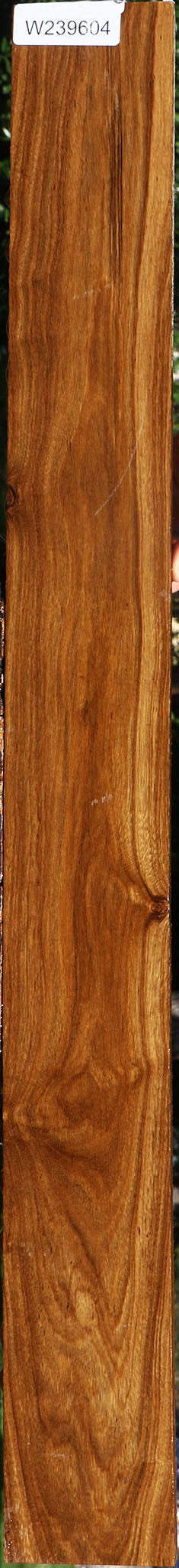 Figured Bolivian Ebony Lumber