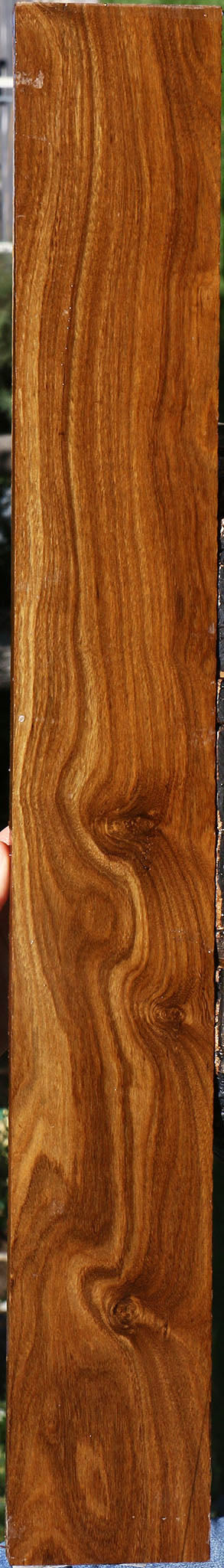 Extra Fancy Bolivian Ebony Lumber