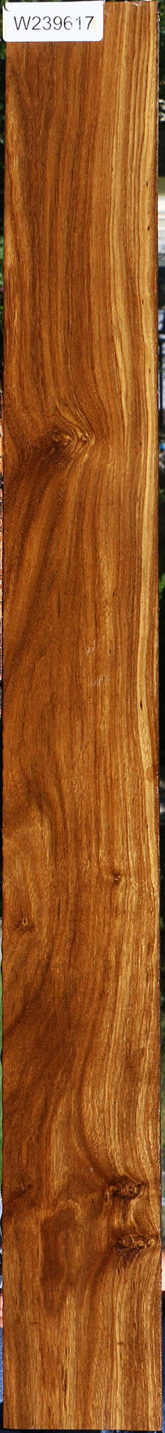 Figured Bolivian Ebony Lumber