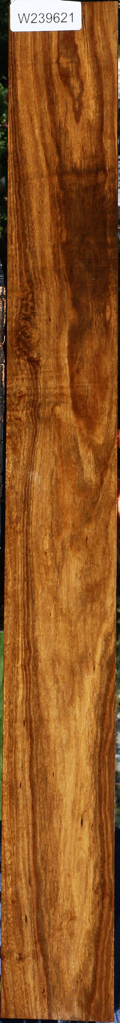 Figured Bolivian Ebony Lumber