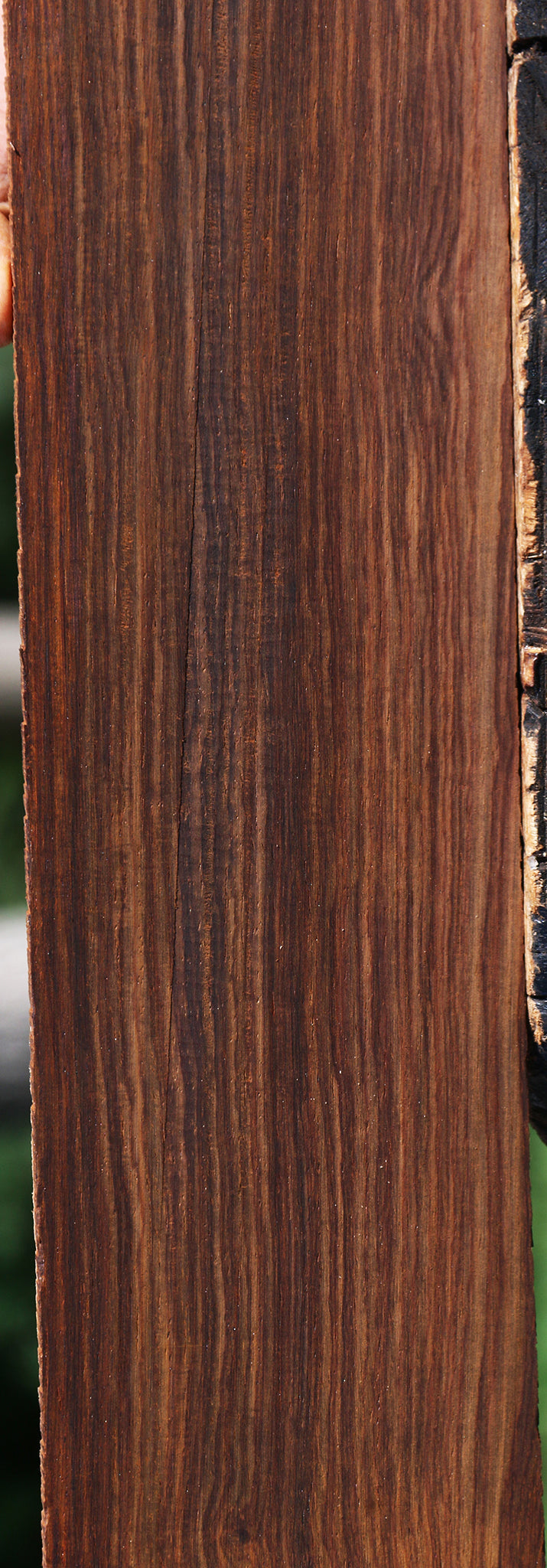 Cocobolo Fingerboard