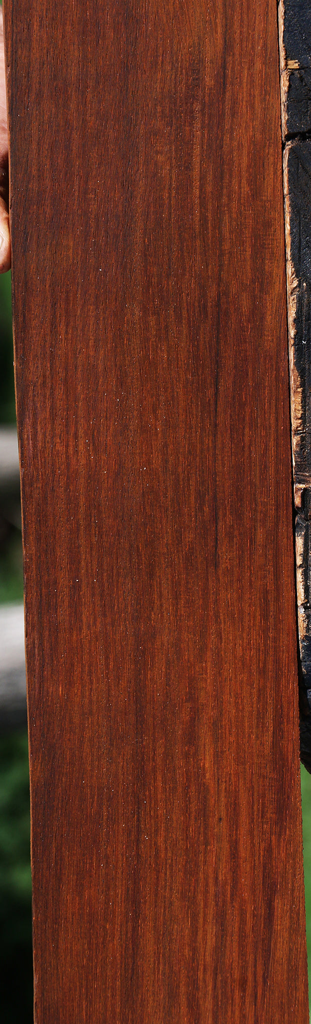 Quartersawn Cocobolo Fingerboard