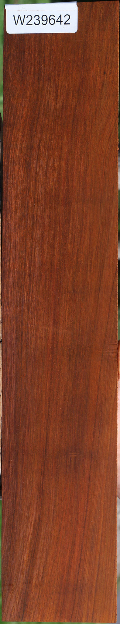 Cocobolo Instrument Micro Lumber