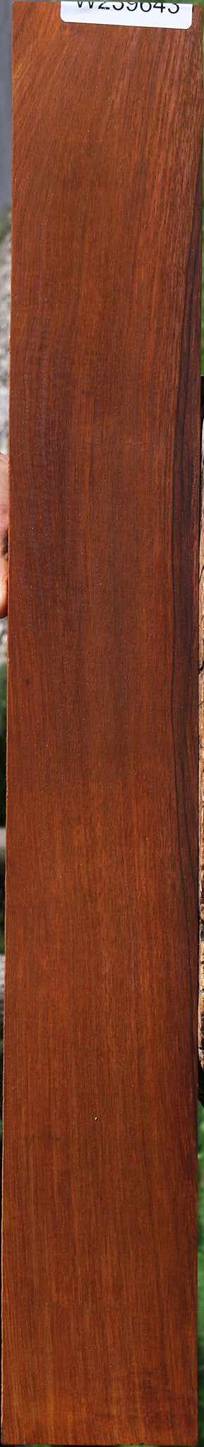 Cocobolo Instrument Micro Lumber