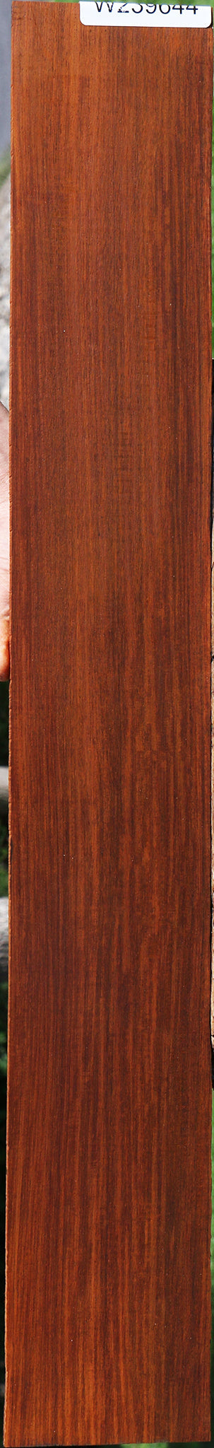 Quartersawn Cocobolo Fingerboard