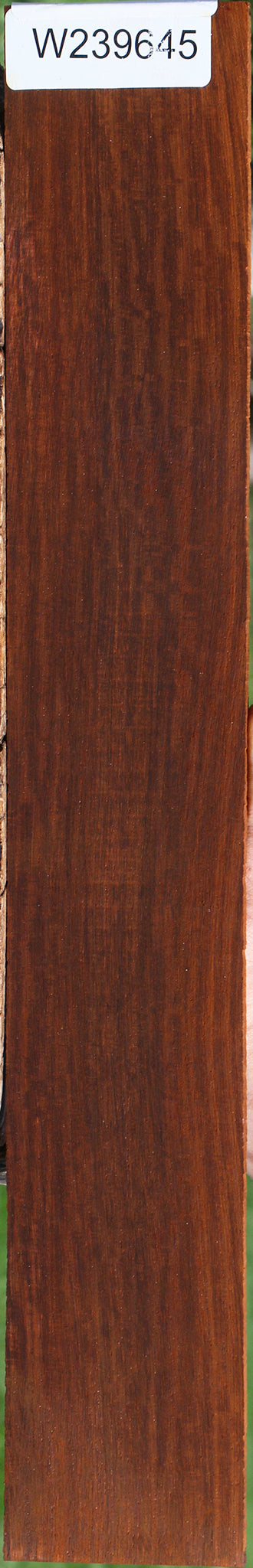 Extra Fancy Cocobolo Fingerboard