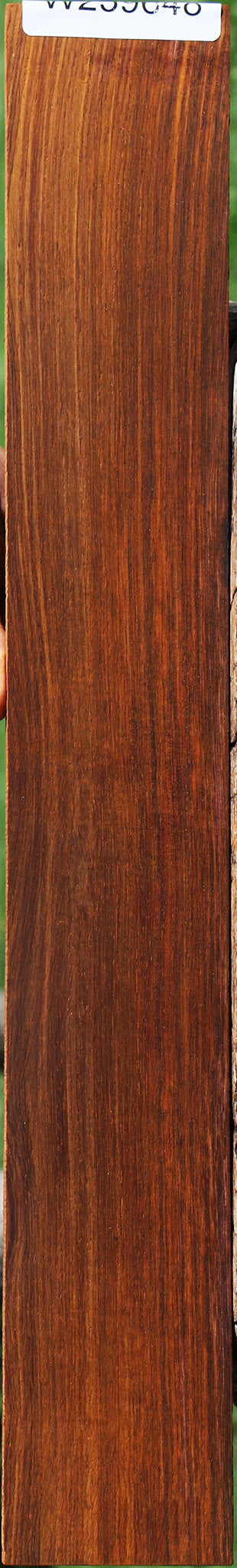 Cocobolo Fingerboard