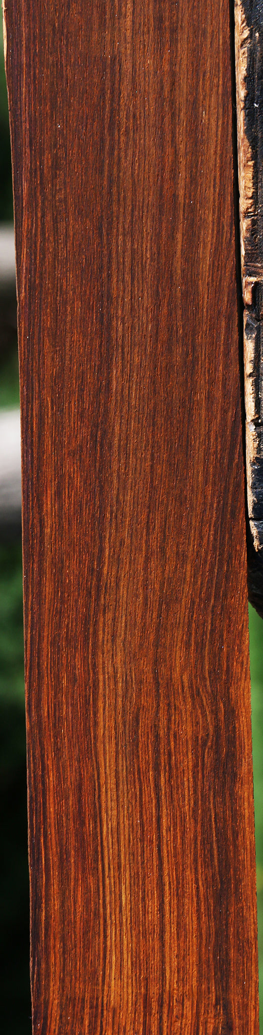 Cocobolo Fingerboard