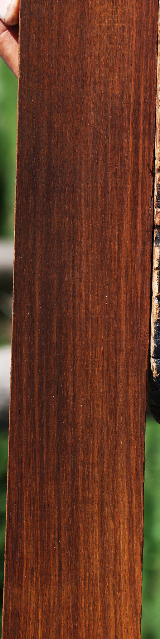 Cocobolo Fingerboard