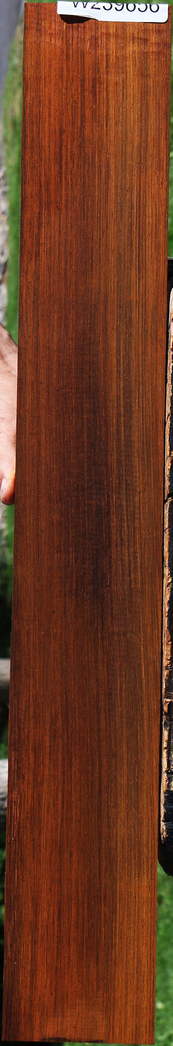 Cocobolo Fingerboard