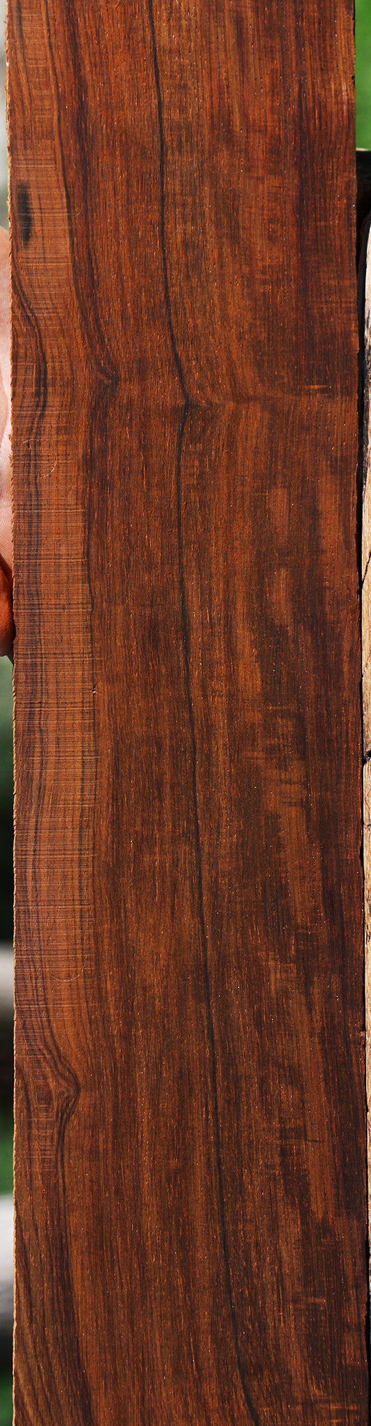 Extra Fancy Quartersawn Cocobolo Fingerboard