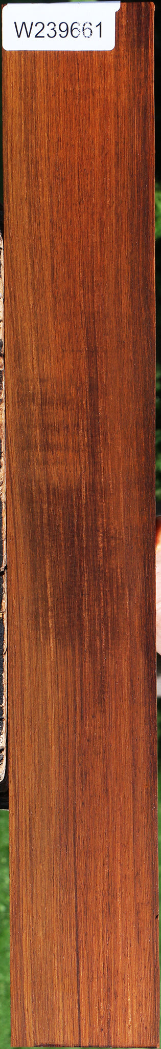 Quartersawn Cocobolo Fingerboard