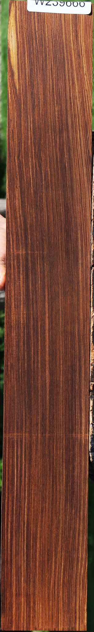 Quartersawn Cocobolo Fingerboard