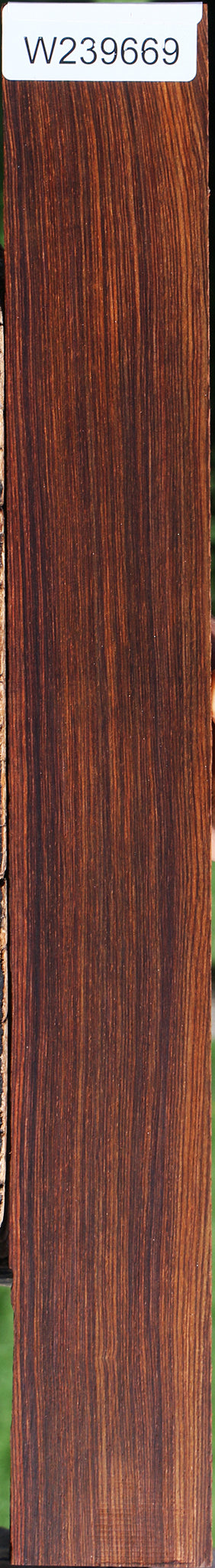 Cocobolo Fingerboard