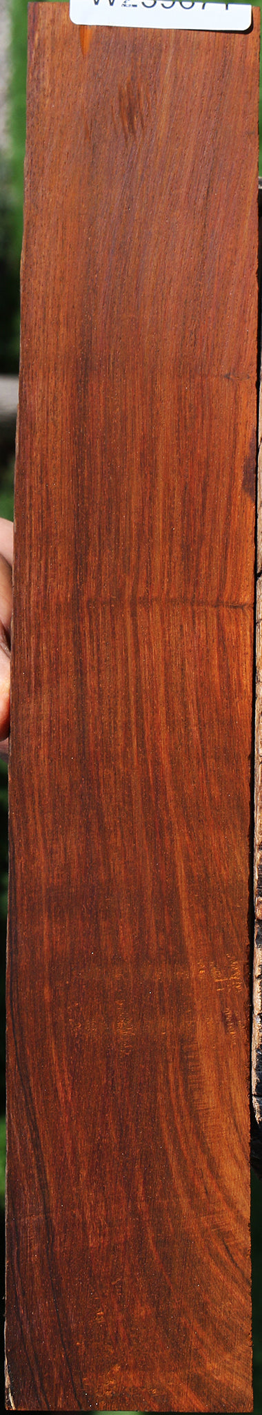 Cocobolo Micro Lumber