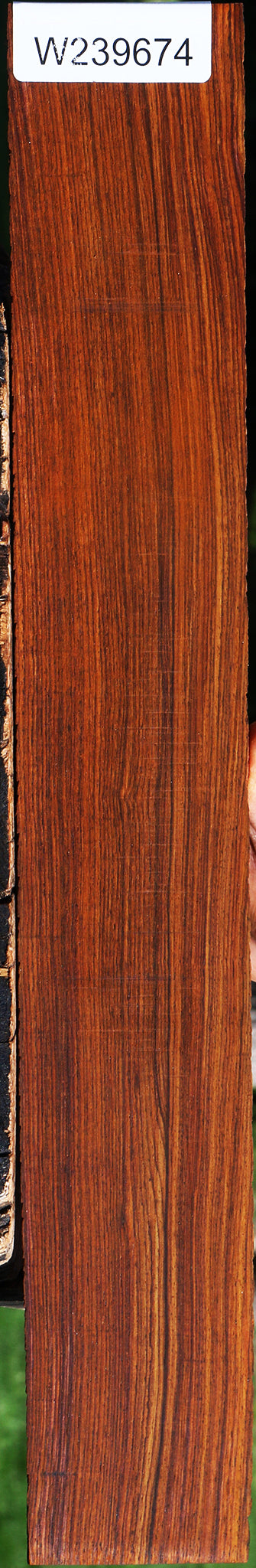 Cocobolo Fingerboard