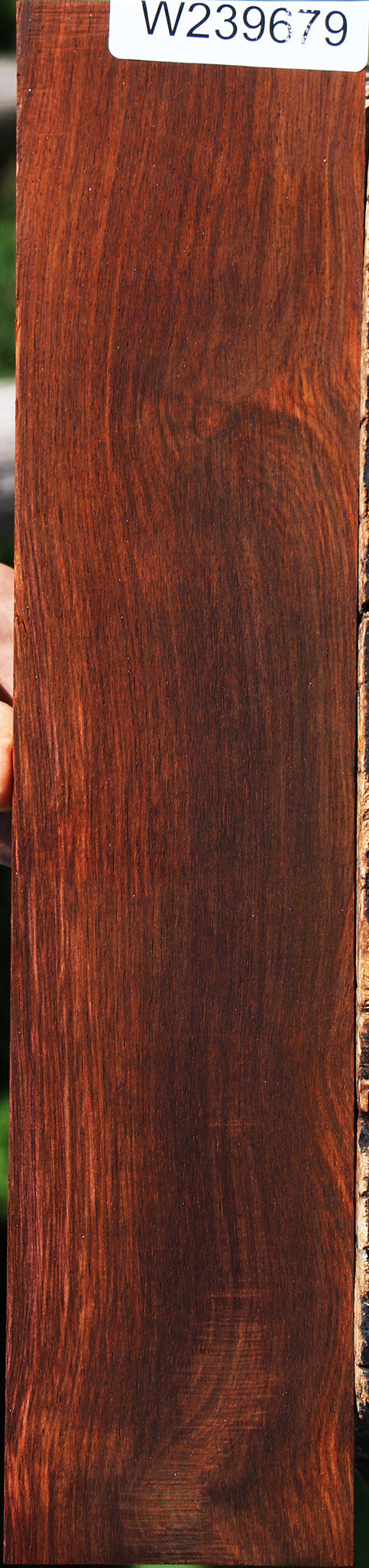 Cocobolo Micro Lumber
