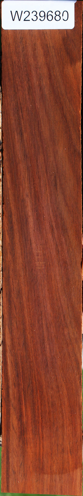 Cocobolo Micro Lumber