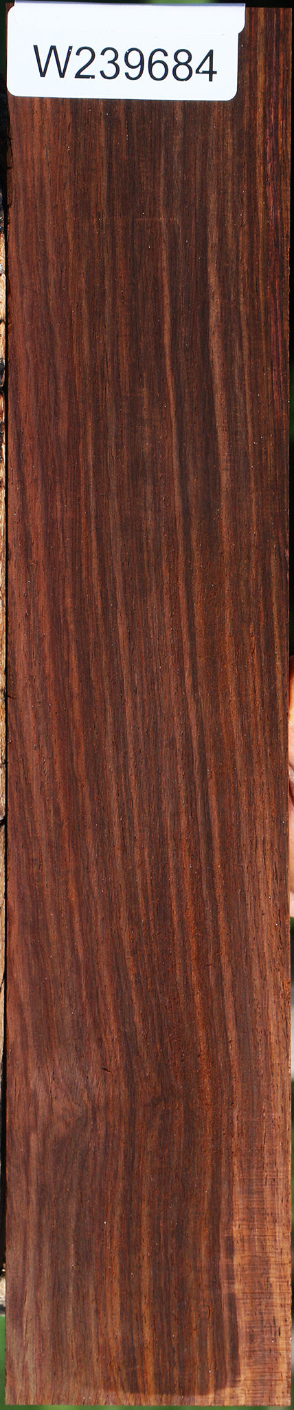 Cocobolo Micro Lumber