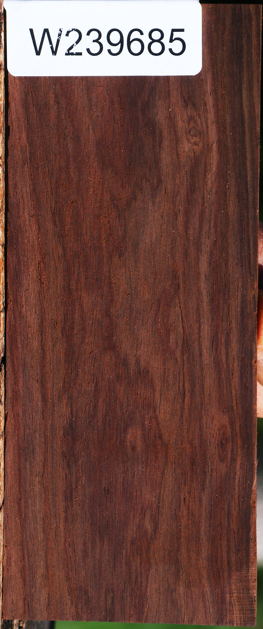 Cocobolo Micro Lumber