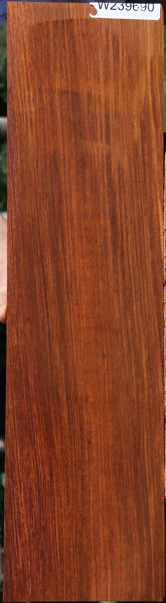 Cocobolo Instrument Micro Lumber