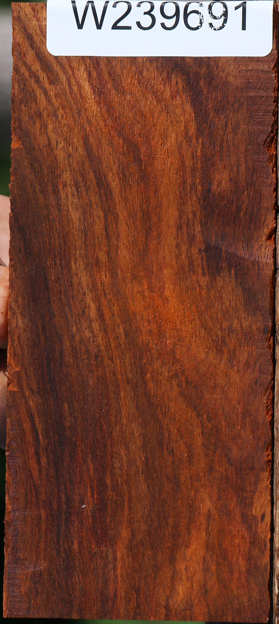 Cocobolo Micro Lumber