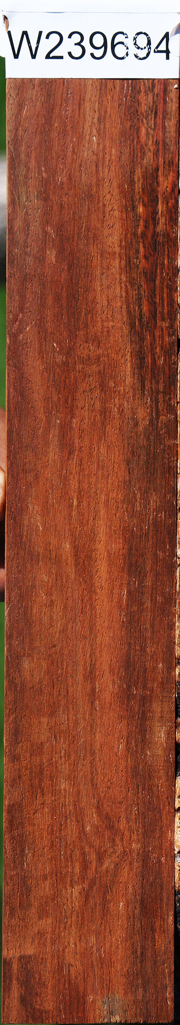 Cocobolo Micro Lumber